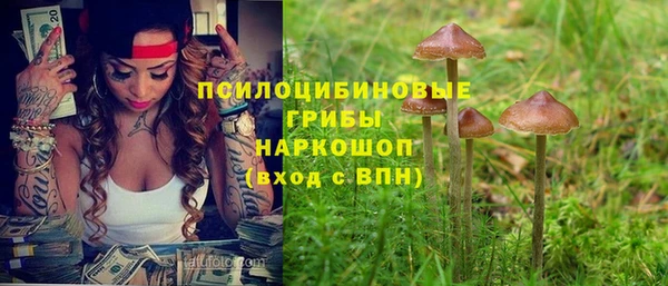 ПСИЛОЦИБИНОВЫЕ ГРИБЫ Верея